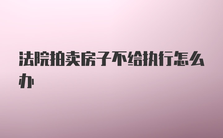 法院拍卖房子不给执行怎么办