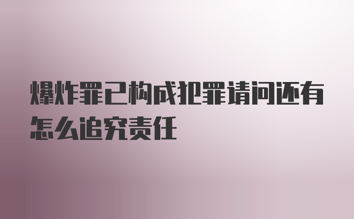 爆炸罪已构成犯罪请问还有怎么追究责任