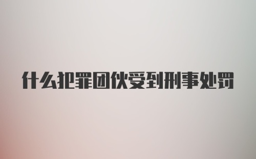 什么犯罪团伙受到刑事处罚