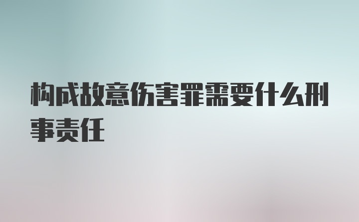 构成故意伤害罪需要什么刑事责任