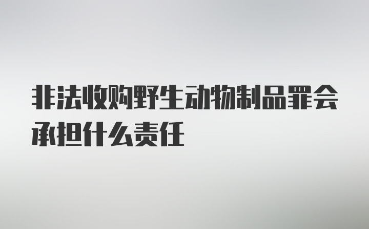 非法收购野生动物制品罪会承担什么责任