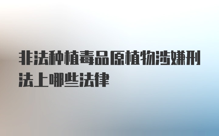 非法种植毒品原植物涉嫌刑法上哪些法律