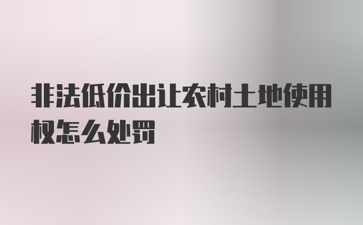 非法低价出让农村土地使用权怎么处罚