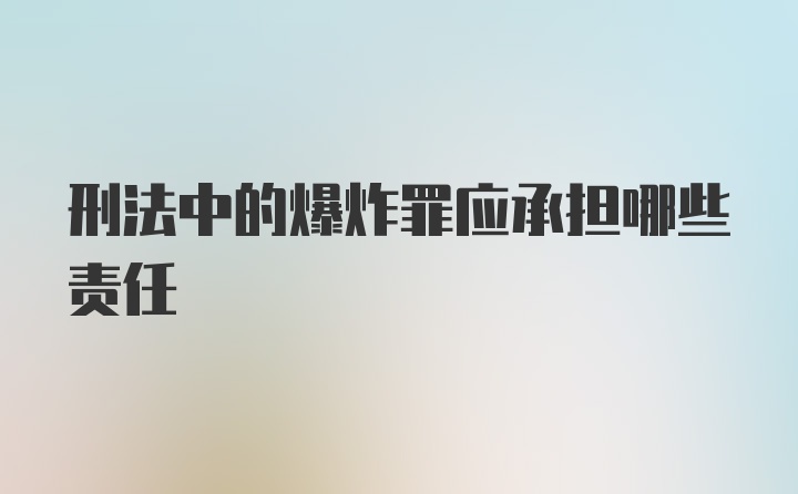 刑法中的爆炸罪应承担哪些责任