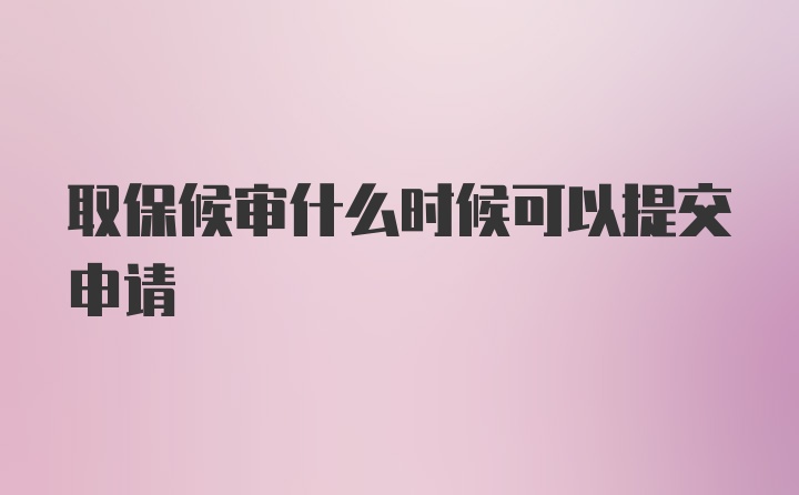 取保候审什么时候可以提交申请