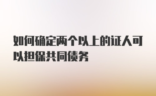 如何确定两个以上的证人可以担保共同债务