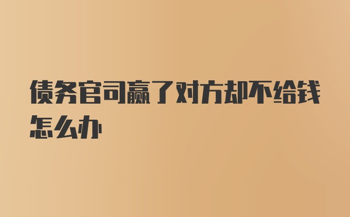 债务官司赢了对方却不给钱怎么办