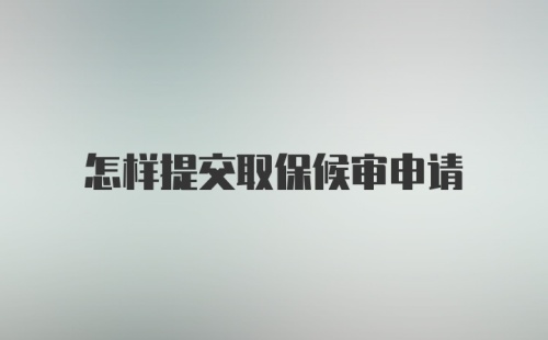 怎样提交取保候审申请