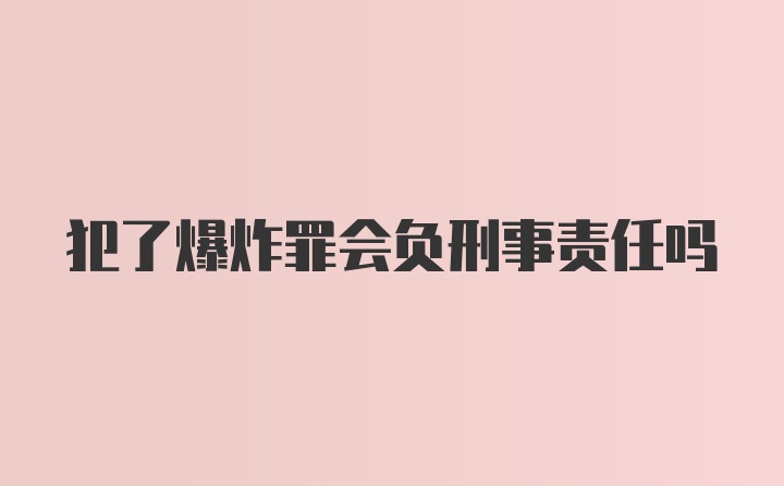 犯了爆炸罪会负刑事责任吗