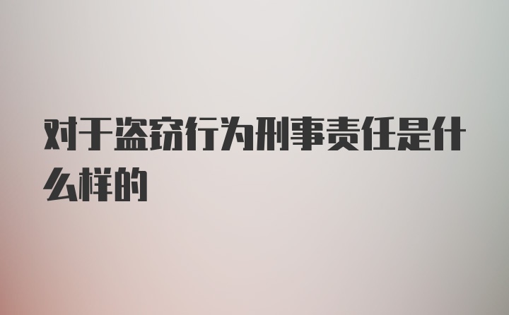 对于盗窃行为刑事责任是什么样的