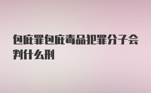 包庇罪包庇毒品犯罪分子会判什么刑