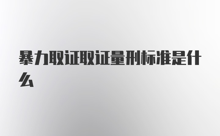 暴力取证取证量刑标准是什么