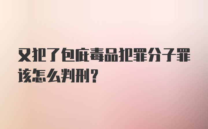 又犯了包庇毒品犯罪分子罪该怎么判刑？