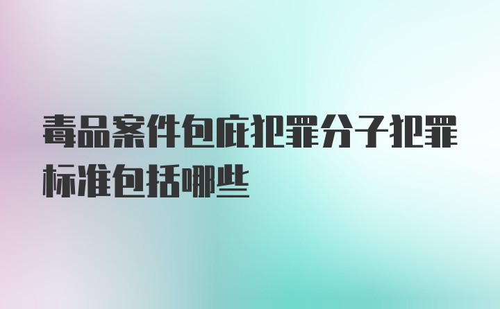 毒品案件包庇犯罪分子犯罪标准包括哪些