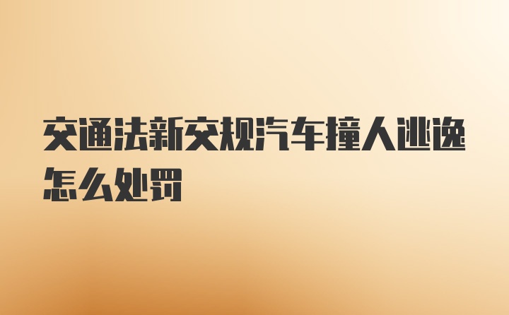 交通法新交规汽车撞人逃逸怎么处罚