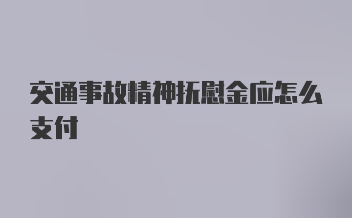 交通事故精神抚慰金应怎么支付