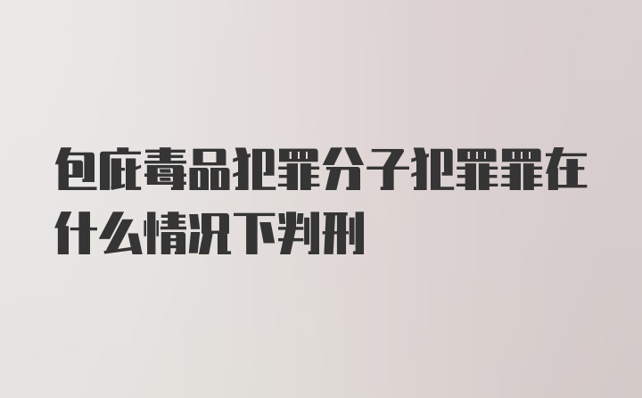 包庇毒品犯罪分子犯罪罪在什么情况下判刑