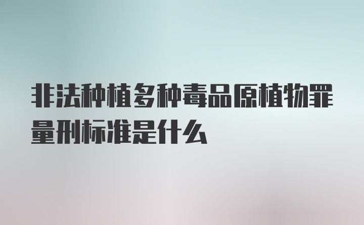 非法种植多种毒品原植物罪量刑标准是什么