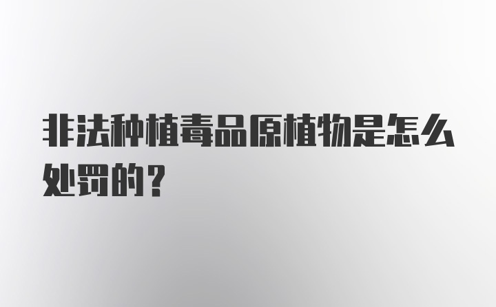 非法种植毒品原植物是怎么处罚的？