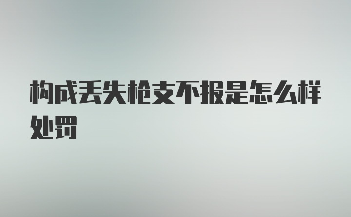 构成丢失枪支不报是怎么样处罚