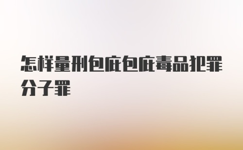 怎样量刑包庇包庇毒品犯罪分子罪