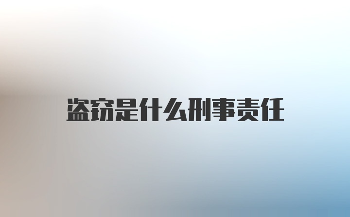 盗窃是什么刑事责任