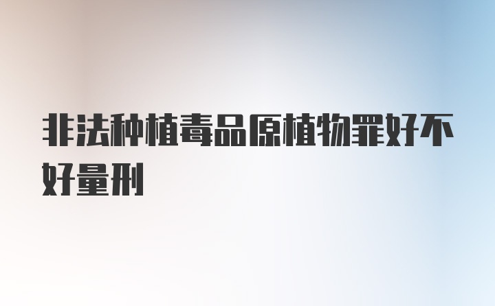 非法种植毒品原植物罪好不好量刑