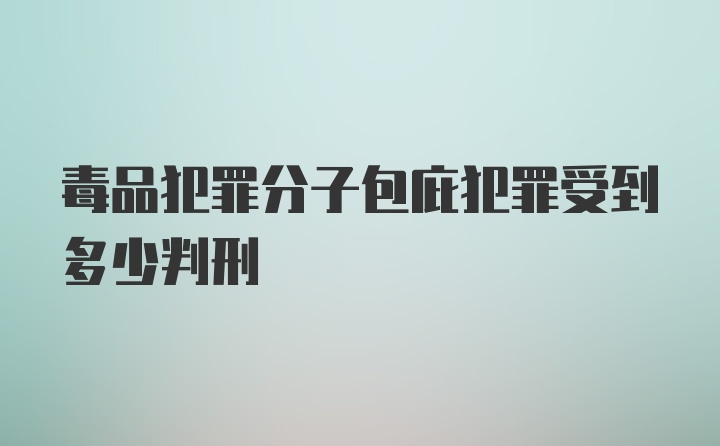 毒品犯罪分子包庇犯罪受到多少判刑