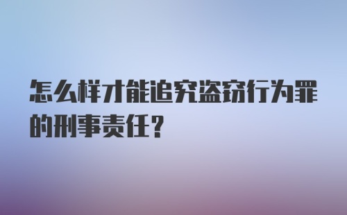 怎么样才能追究盗窃行为罪的刑事责任？