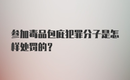 参加毒品包庇犯罪分子是怎样处罚的？