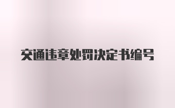 交通违章处罚决定书编号