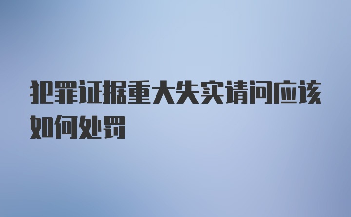 犯罪证据重大失实请问应该如何处罚