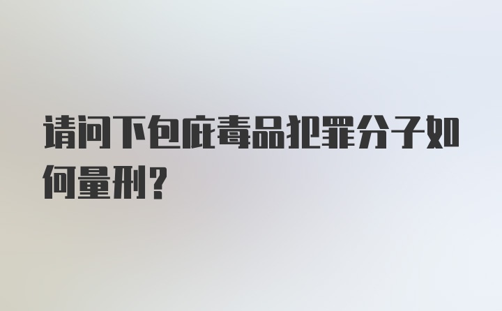 请问下包庇毒品犯罪分子如何量刑？