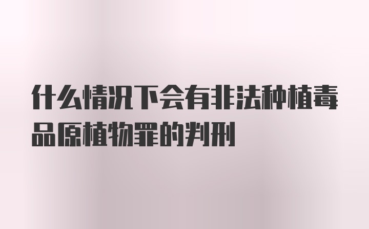 什么情况下会有非法种植毒品原植物罪的判刑