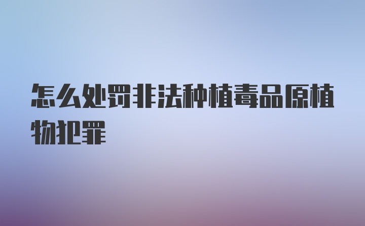 怎么处罚非法种植毒品原植物犯罪