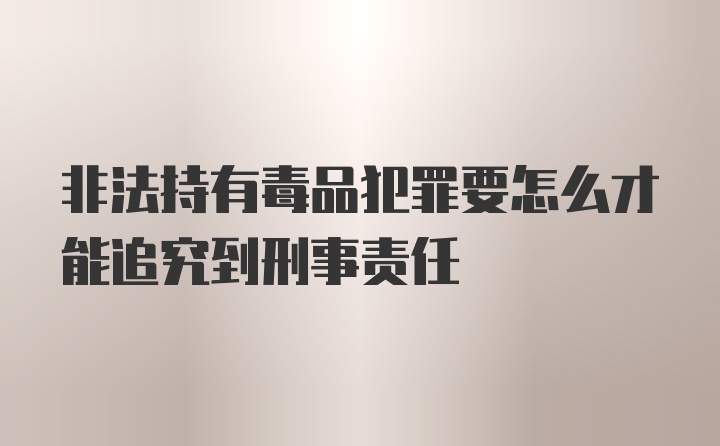 非法持有毒品犯罪要怎么才能追究到刑事责任