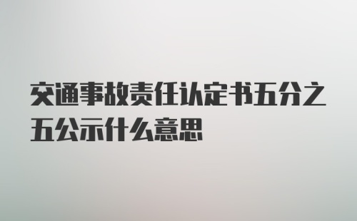 交通事故责任认定书五分之五公示什么意思