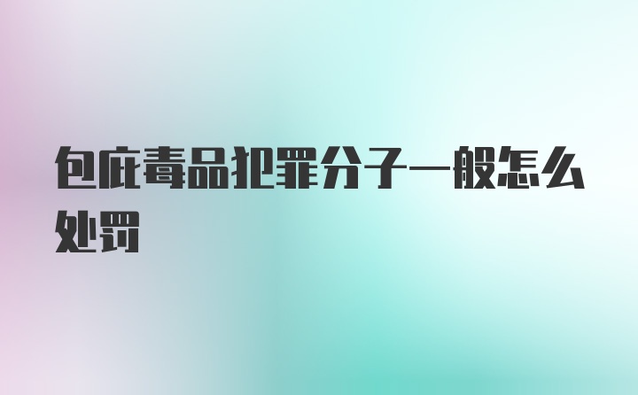 包庇毒品犯罪分子一般怎么处罚