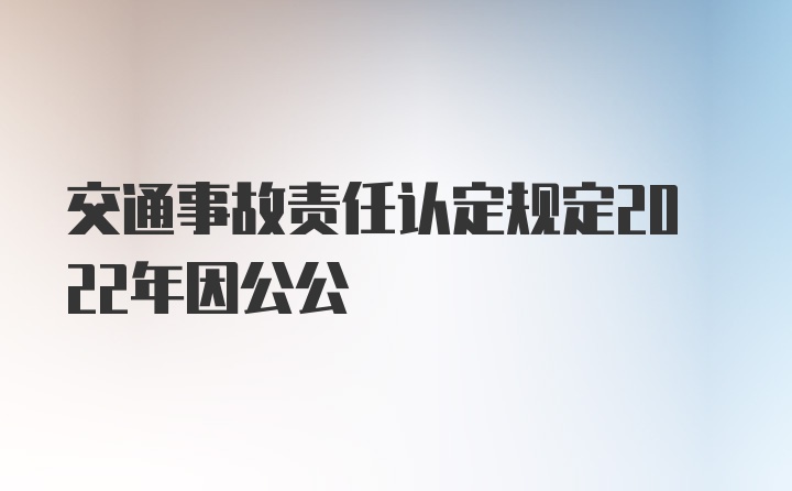 交通事故责任认定规定2022年因公公