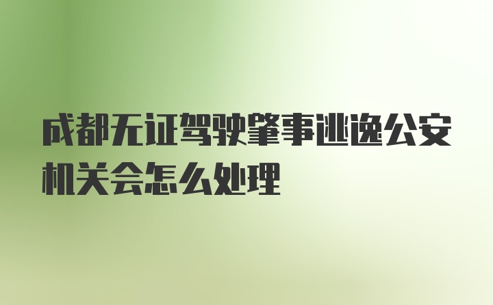 成都无证驾驶肇事逃逸公安机关会怎么处理