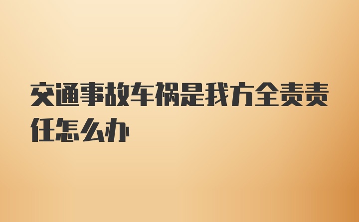 交通事故车祸是我方全责责任怎么办