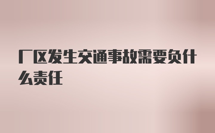 厂区发生交通事故需要负什么责任