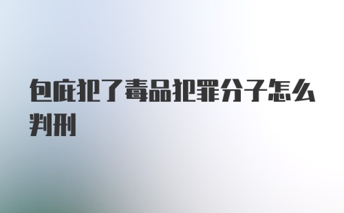 包庇犯了毒品犯罪分子怎么判刑