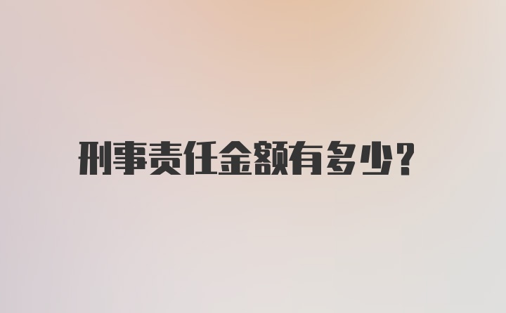 刑事责任金额有多少？