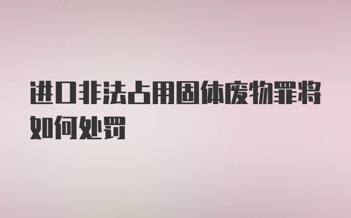 进口非法占用固体废物罪将如何处罚