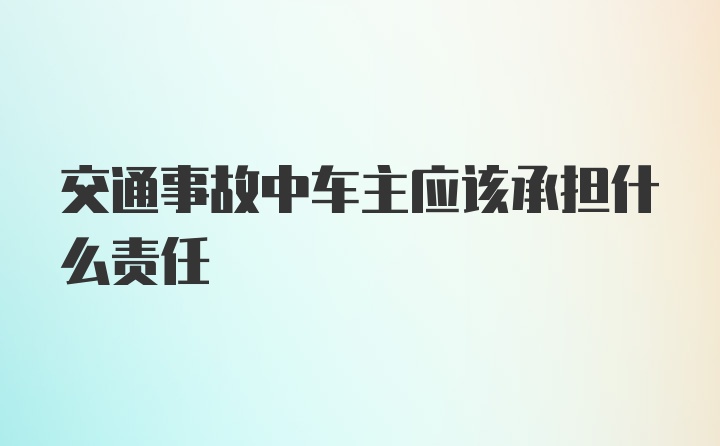 交通事故中车主应该承担什么责任