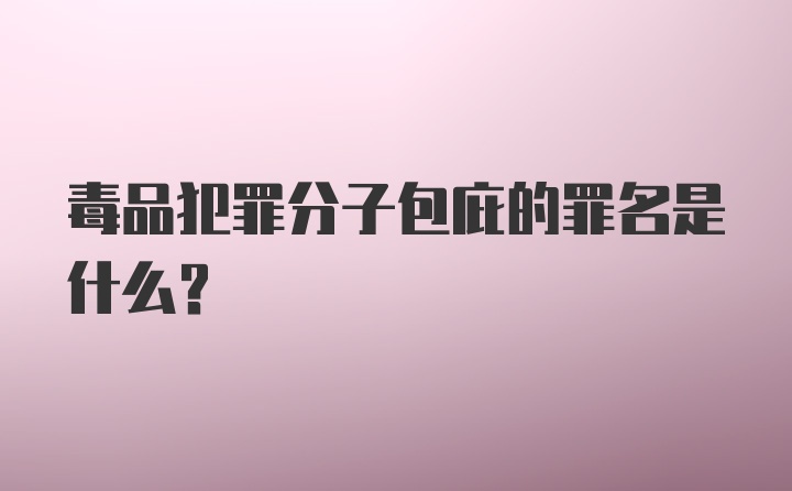 毒品犯罪分子包庇的罪名是什么？