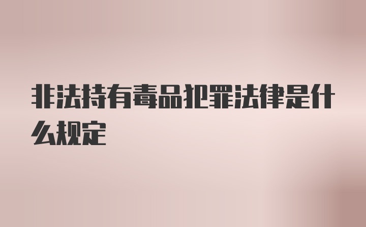 非法持有毒品犯罪法律是什么规定