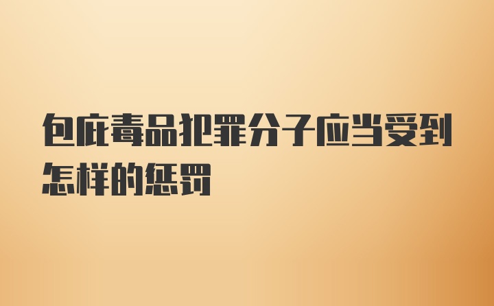 包庇毒品犯罪分子应当受到怎样的惩罚