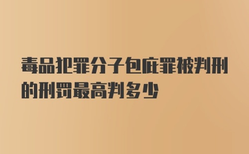 毒品犯罪分子包庇罪被判刑的刑罚最高判多少